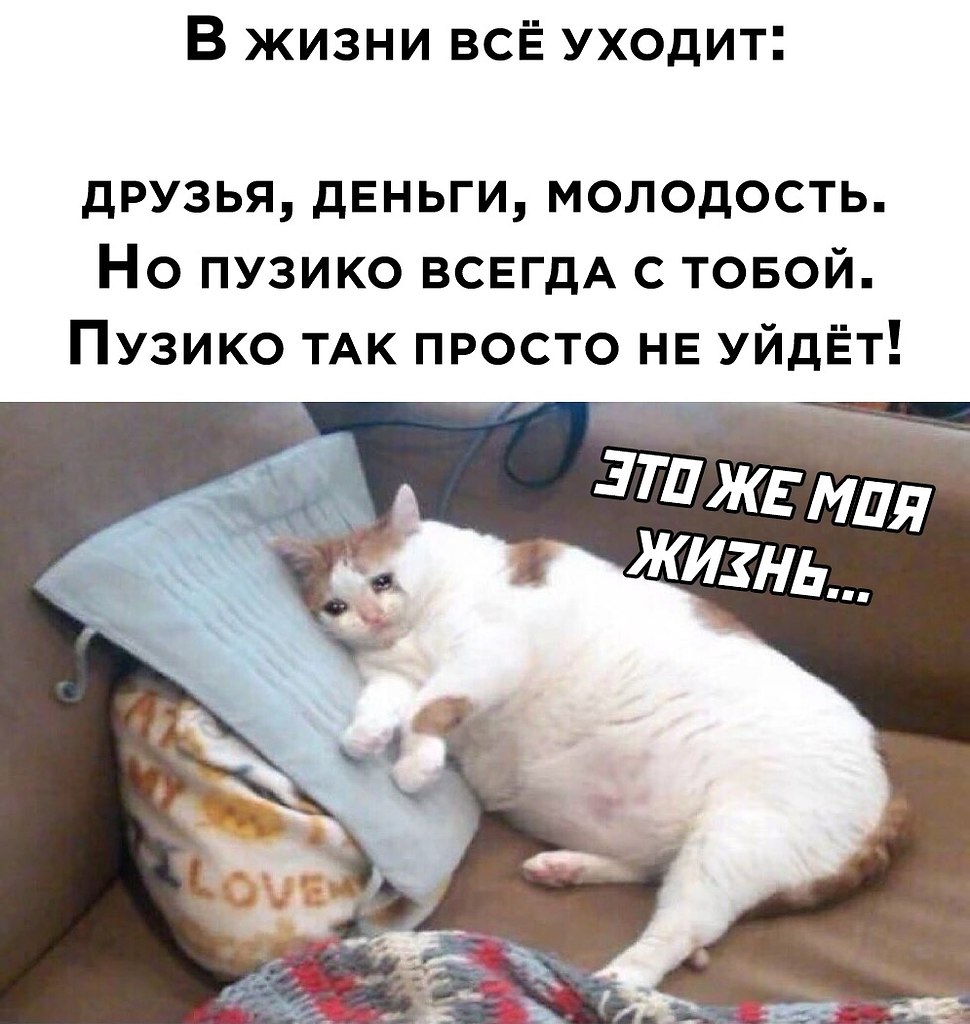 ☆ ☆ - 8  2022  16:33