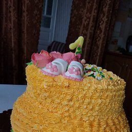 �������, ���������, 23 ����