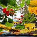 ���� Suiu, ������� - ��������� 27 ������� 2022 � ������ ���� ����������