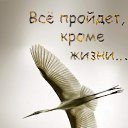 ���� ���������, �������, 48 ��� - ��������� 21 ������� 2022 � ������ ������ ��������