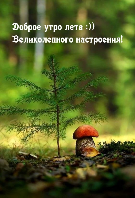   ,    . - 8  2022  07:04