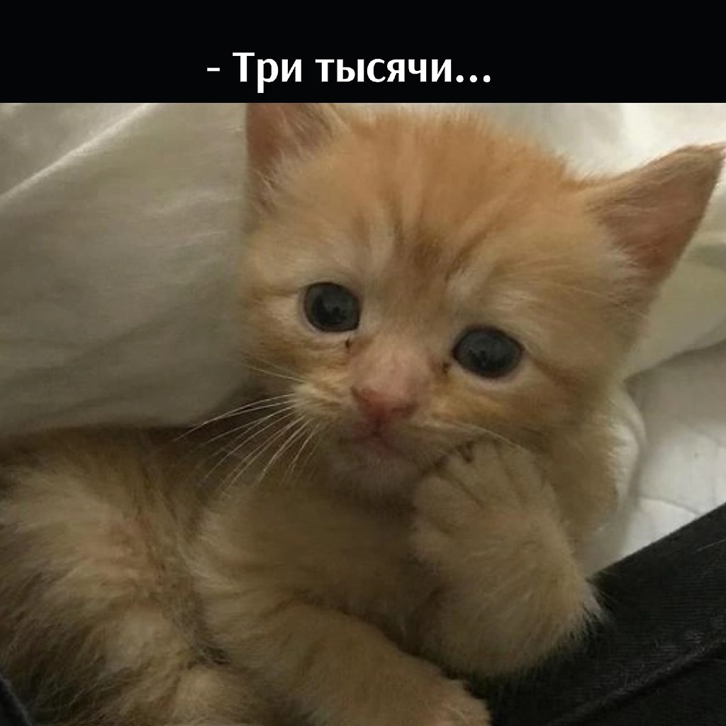       - 16  2022  13:06 - 3
