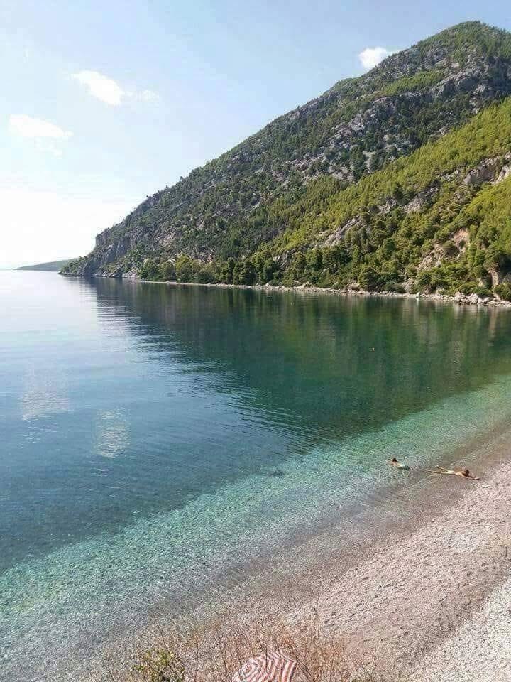 Morris - 2  2022  09:34