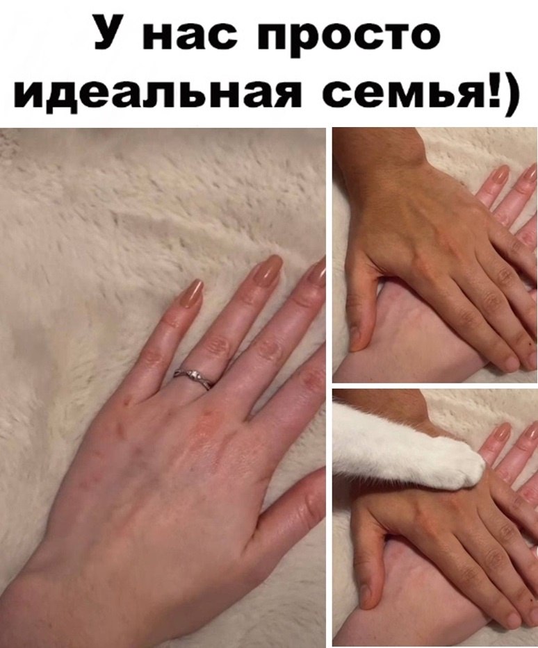   -  ,  -  - 13  2022  16:32