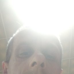 ������, �������, 49 ���