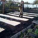 ���� ��������, �����������, 63 ���� - ��������� 21 ������ 2022