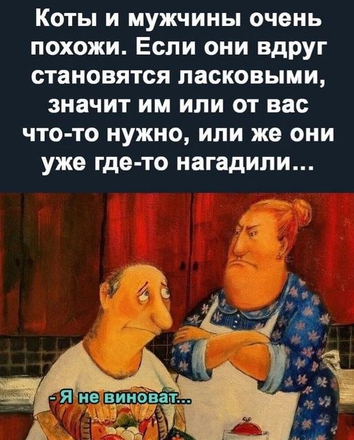 Katerinka - 18  2022  18:36