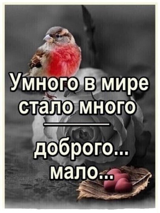   - 27  2022  08:45