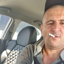 ����, ������, 49 ���