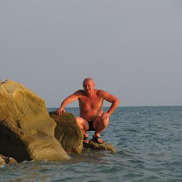 , , 56 
