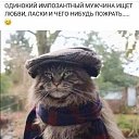 ���� Bludny, ������-��-���� - ��������� 26 ������� 2022 � ������ ���� ����������