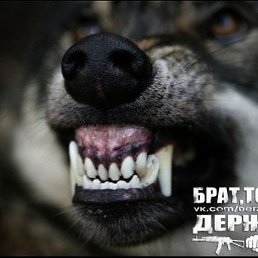 �������, ������, 29 ���