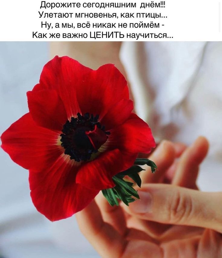   - 12  2022  10:54
