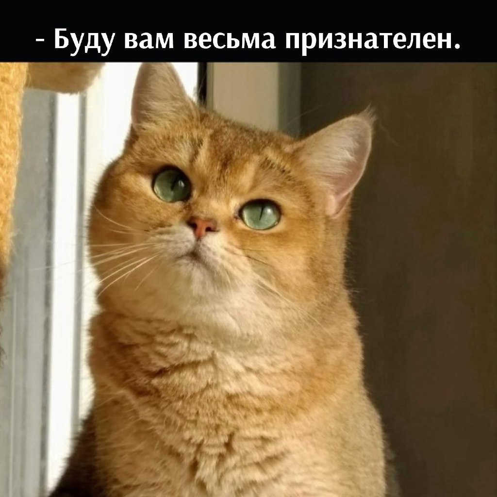       - 27  2022  16:35 - 4