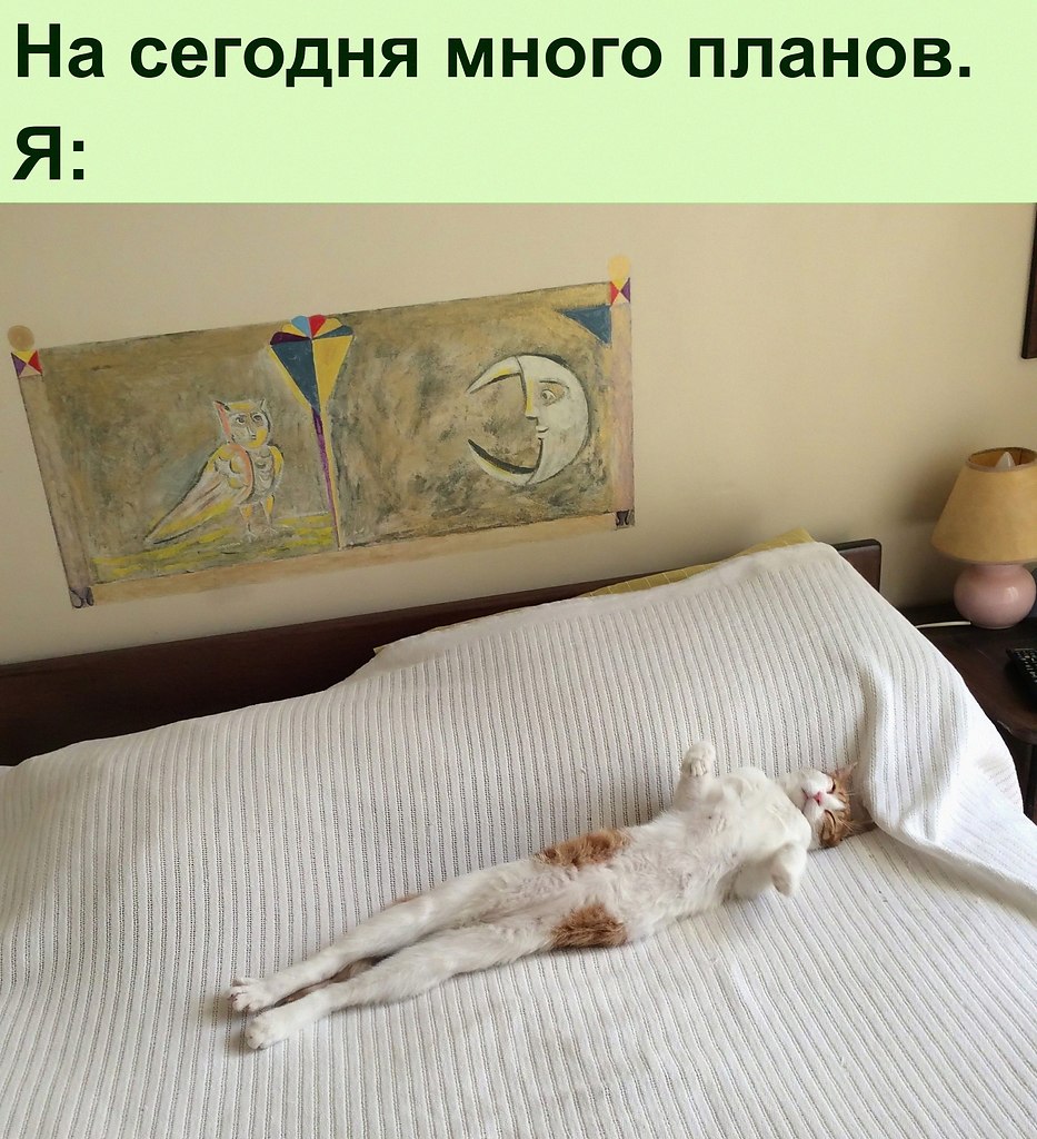   :D - 8  2022  11:45