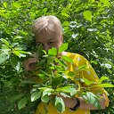 ���� �������, ������-��-���� - ��������� 2 ��� 2022 � ������ ���� ����������