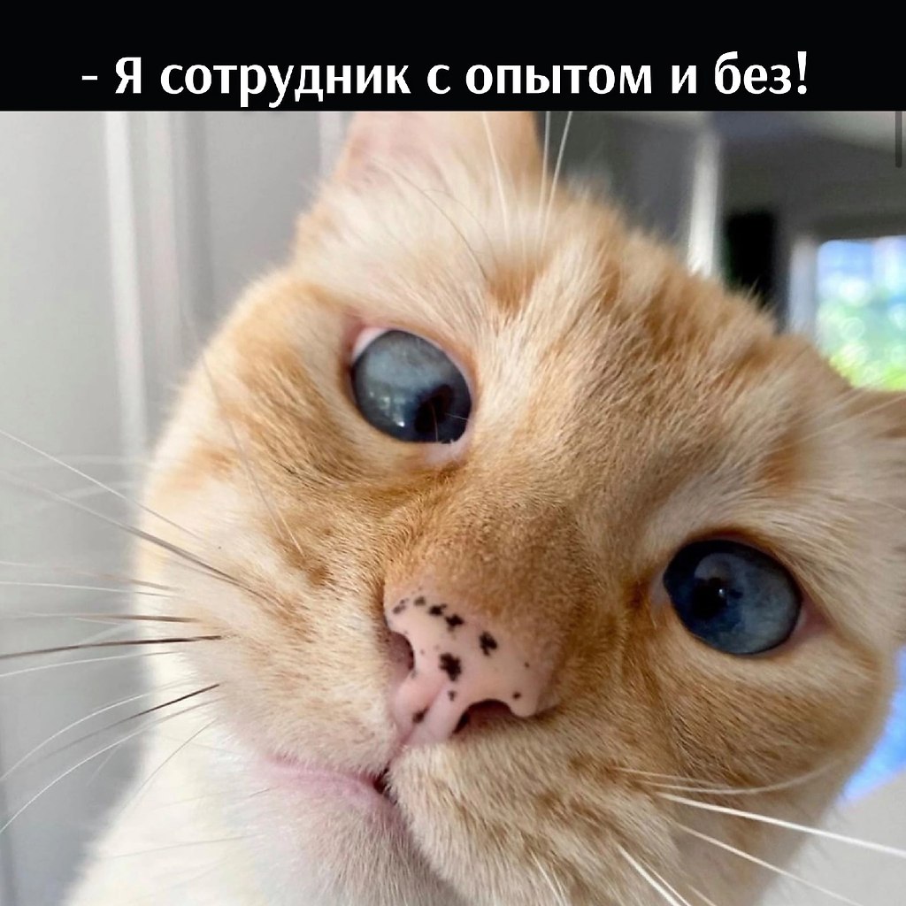       - 19  2022  13:09 - 2
