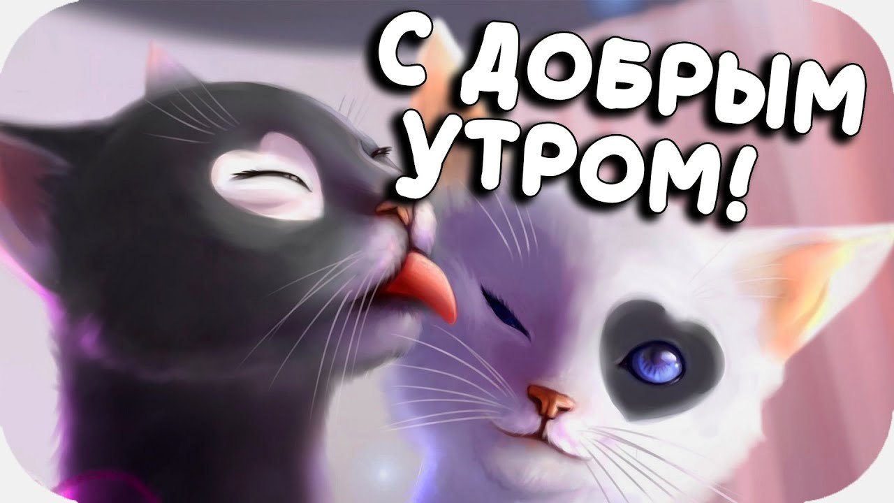  - 13  2022  04:04