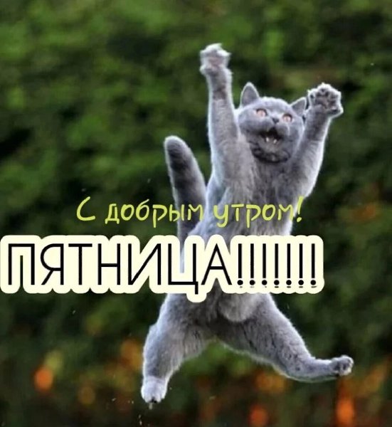 ***Victoria Viktorovna*** - 23  2022  04:55