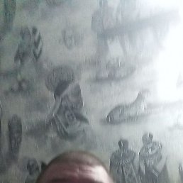 , , 41 