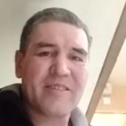 �����, ���������, 46 ���