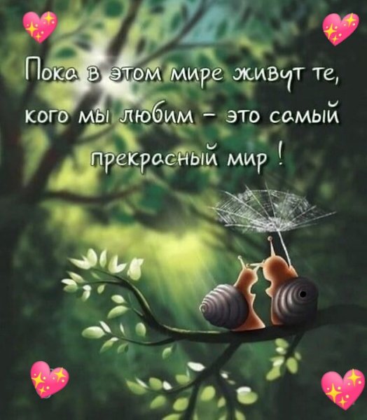  - 3  2022  06:43