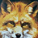 ���� Fox, ����������� - ��������� 22 ���� 2022 � ������ ���� ����������