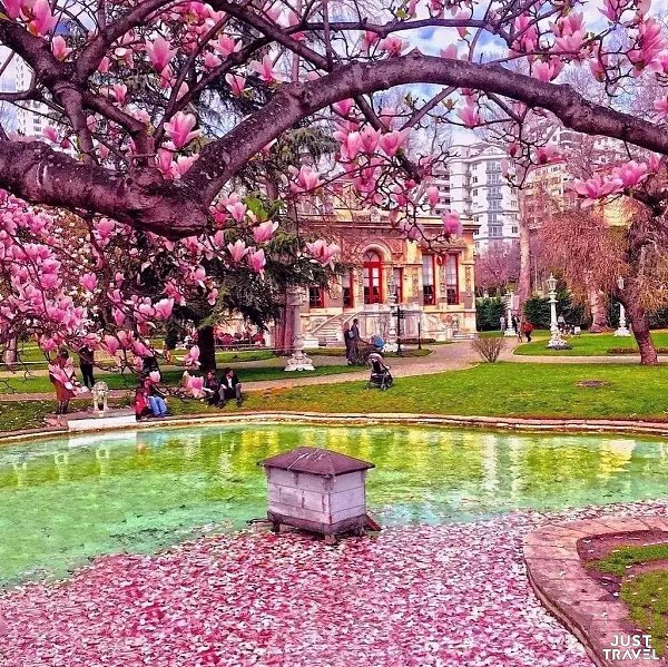 paco a.#art #travel #world - 8