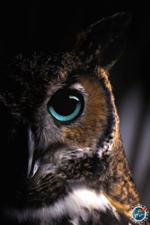 ���ap��e co�����.���� ������������ ���