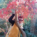 ���� ����, ����, 55 ��� - ��������� 26 ������� 2022 � ������ ���� ����������