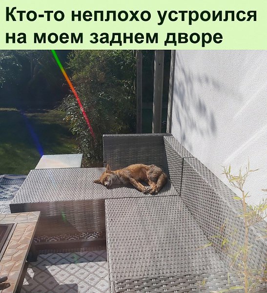 ����������� ��� ��� ����� ����� � ����� ������