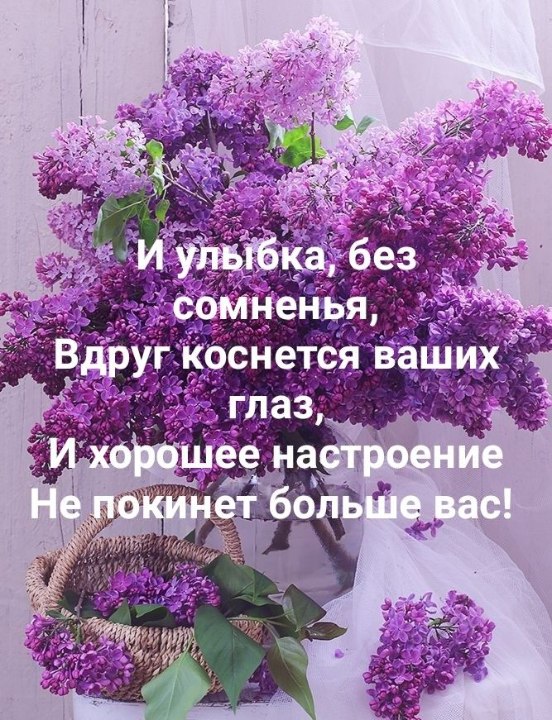  - 9  2022  07:23