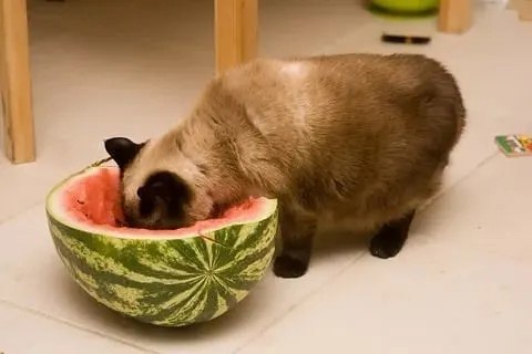  ,  ........