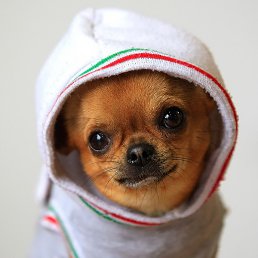 �����, ����, 56 ���