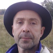 , 50 , 