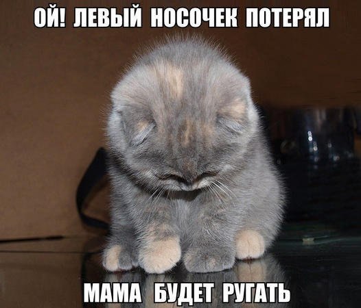  - 22  2022  23:14