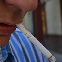 Vincent, ���, 47 ���