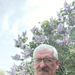 Ali, , 59 
