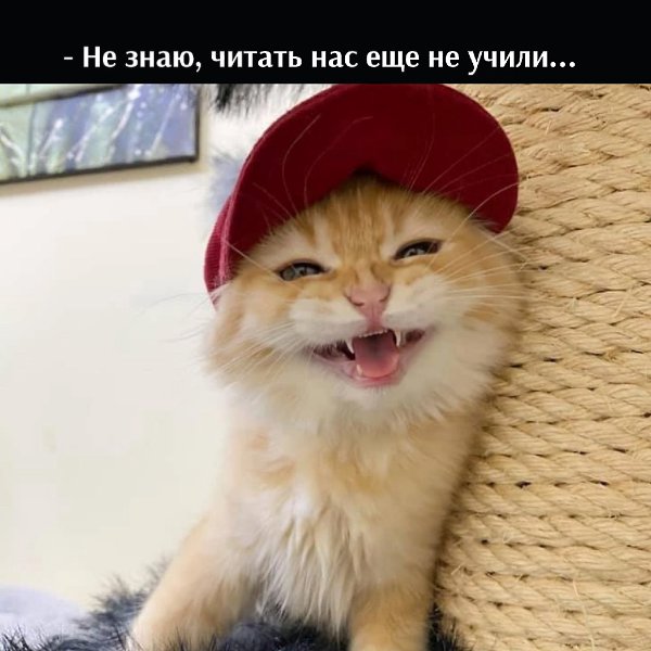      - 23  2022  16:21 - 3