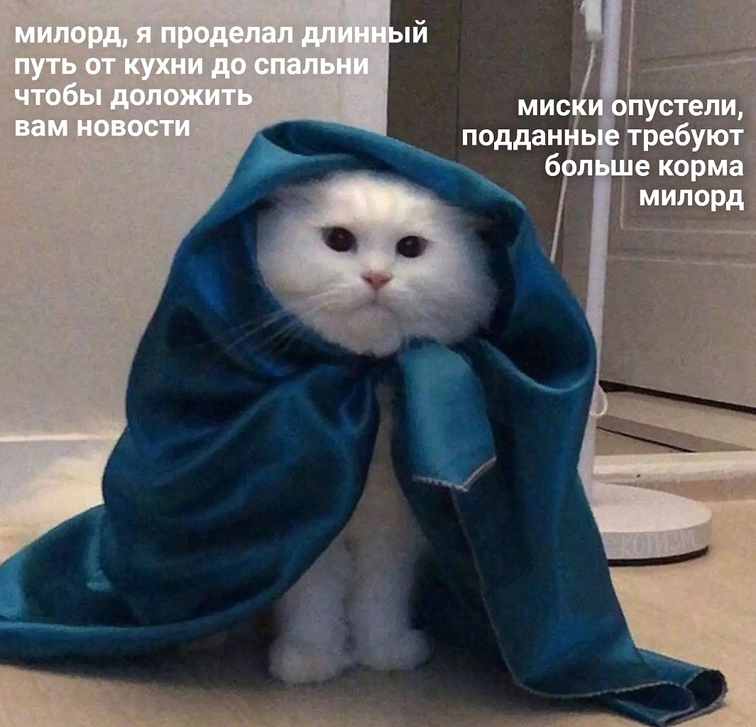 40  - 29  2022  16:22