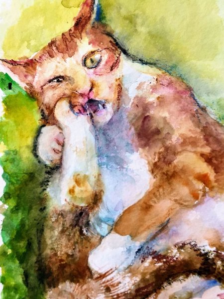 Обаятельный акварельный котик от Сафиной Юли.© Школа Рисования