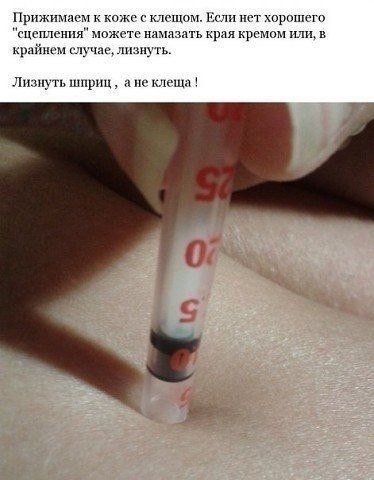 e op  ex,  xo n n np  eca! Ho e y   cx  ... - 7