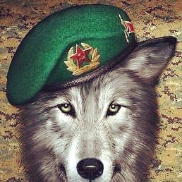 ���� Alex, ������, 61 ��� - ��������� 6 ������ 2022