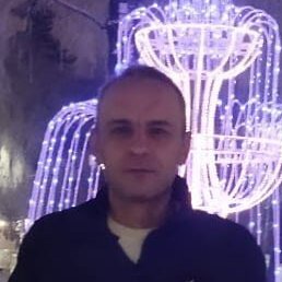 ������, ������, 44 ����