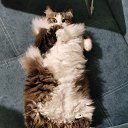 ���� �����, ���������� - ��������� 11 �������� 2022 � ������ ������ ��������