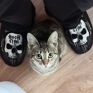 , 25 , 