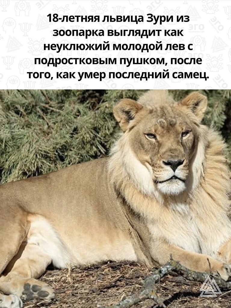    ! - 2