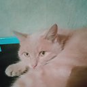 ���� ������, ����������, 52 ���� - ��������� 30 ������ 2023