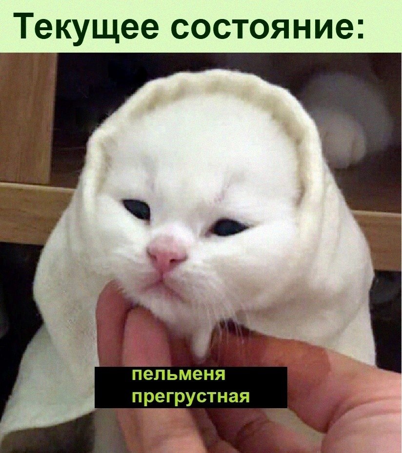   :D - 25  2022  20:22
