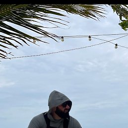 ����, �����-���������, 41 ���